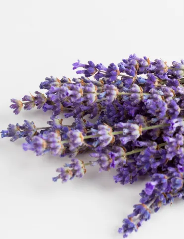 Sachet with natural fragrant lavender handmade